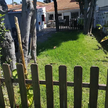 Apartment Downtown Garden Terrace , Only One House Up To 21pax *