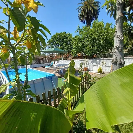Downtown Garden Terrace , Only One House Up To 21pax Apartment Porto